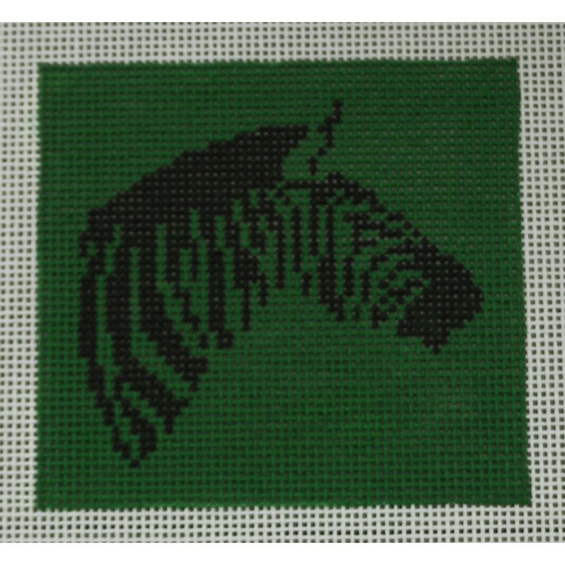 Zebra on Kelly Green Square