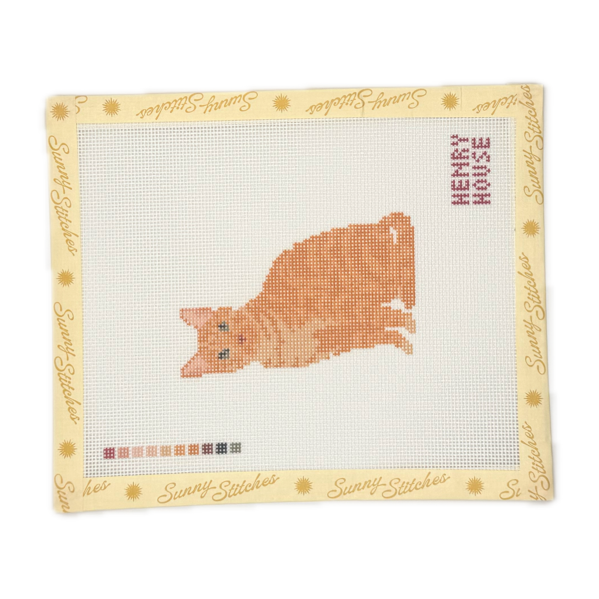 Cat - Orange